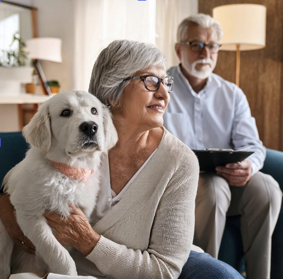 Pet Therapy - Plessington Court