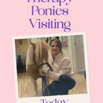 Therapy Ponies - Both Homes
